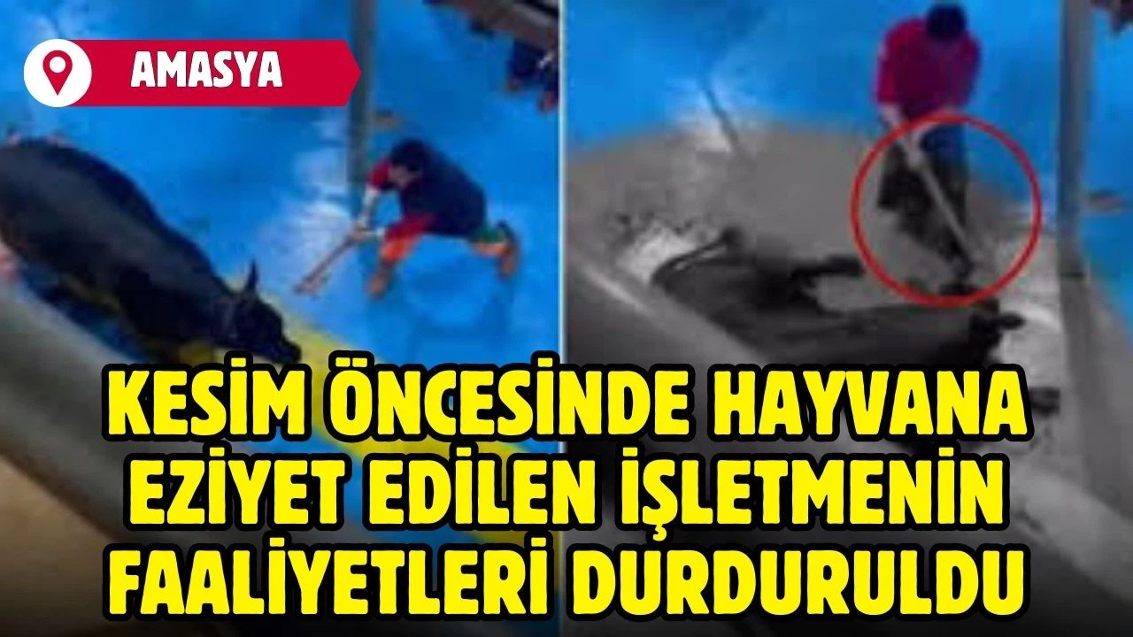 Kesim öncesinde hayvana eziyet edilen işletmenin faaliyetleri durduruldu