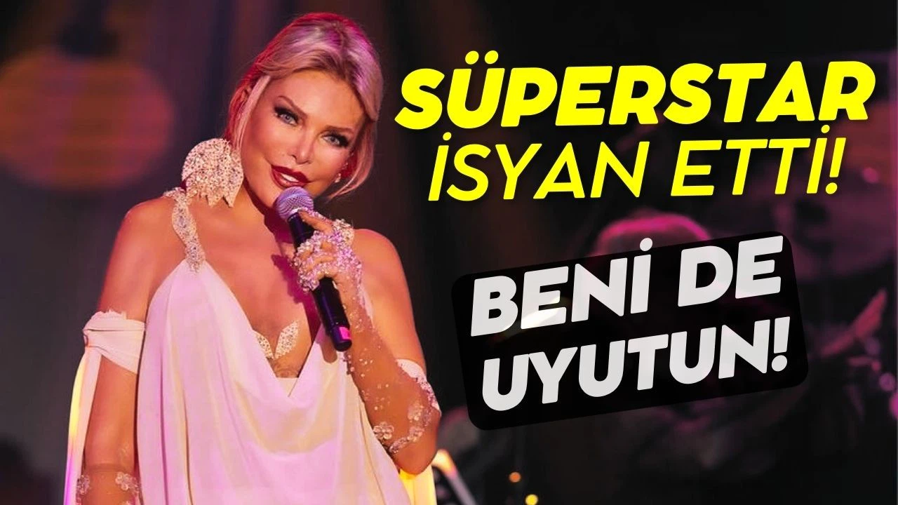 Ajda Pekkan'dan sokak köpeği çıkışı!