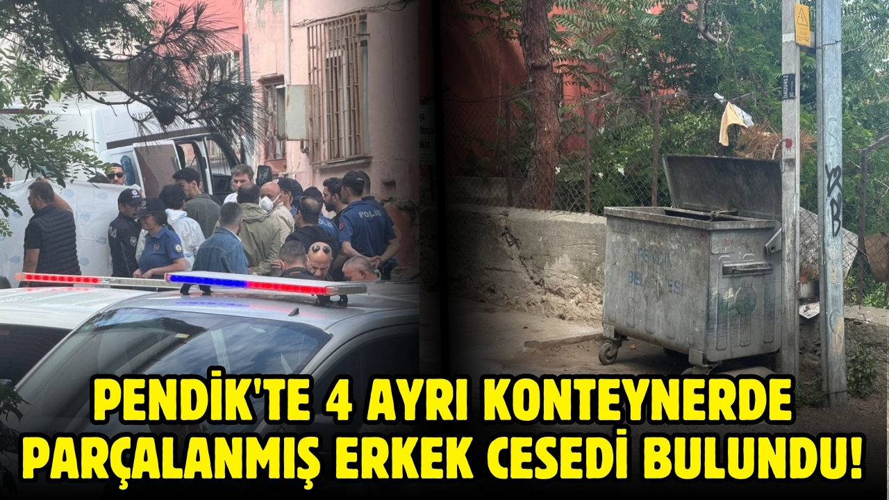 Pendik'te 4 ayrı konteynerde parçalanmış erkek cesedi bulundu