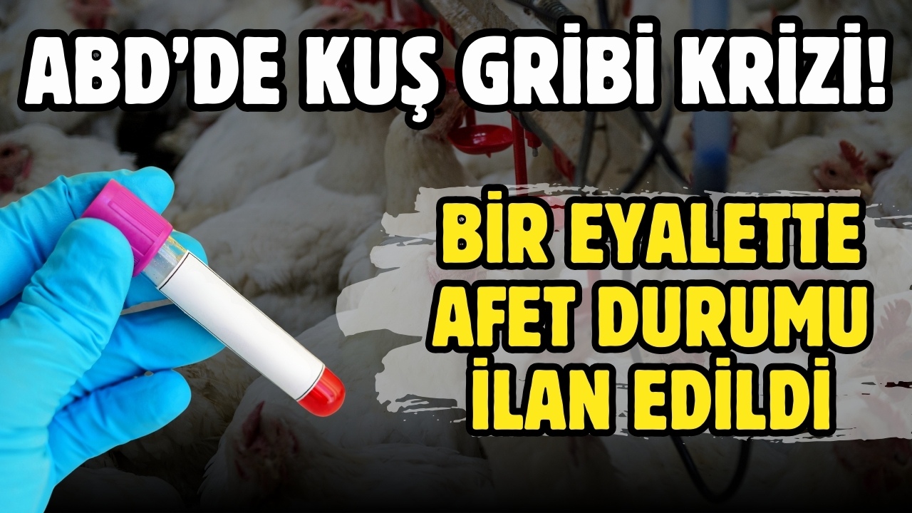 ABD’de kuş gribi paniği: Lowa eyaletinde afet durumu ilan edildi