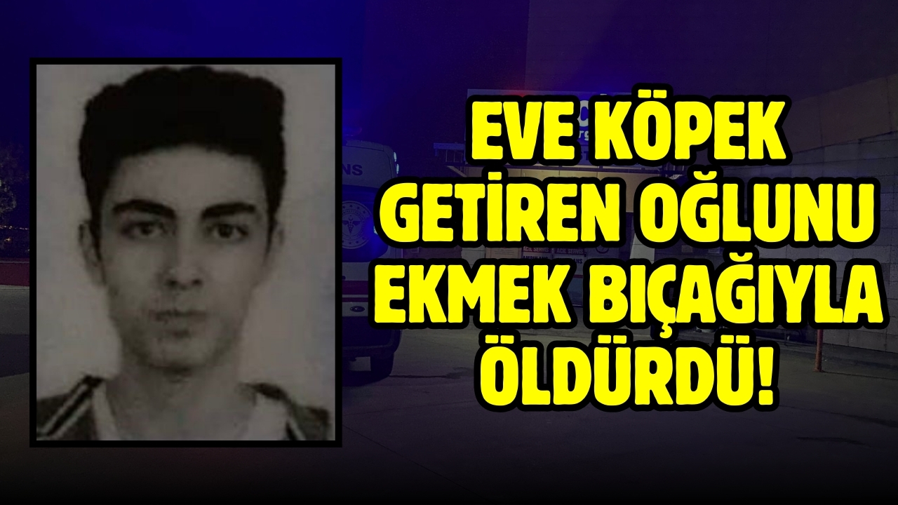 Eve köpek getiren oğlunu ekmek bıçağıyla öldürdü