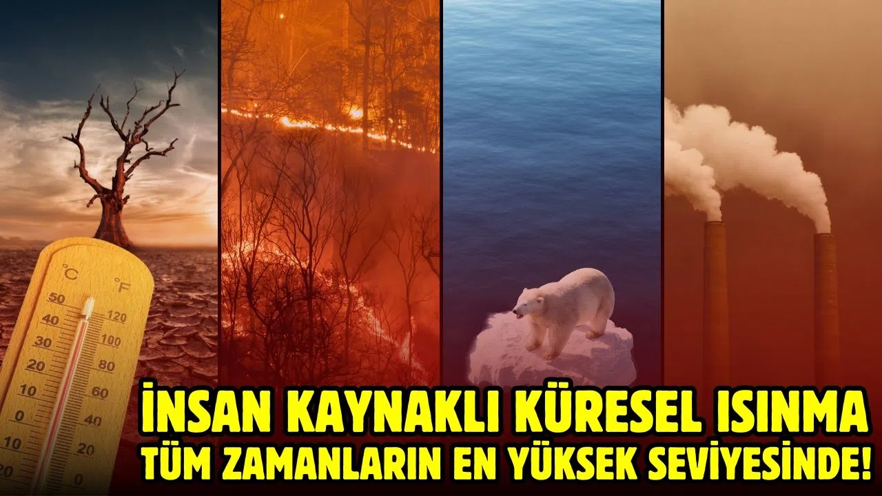 İnsan kaynaklı küresel ısınma tüm zamanların en yüksek seviyesinde!