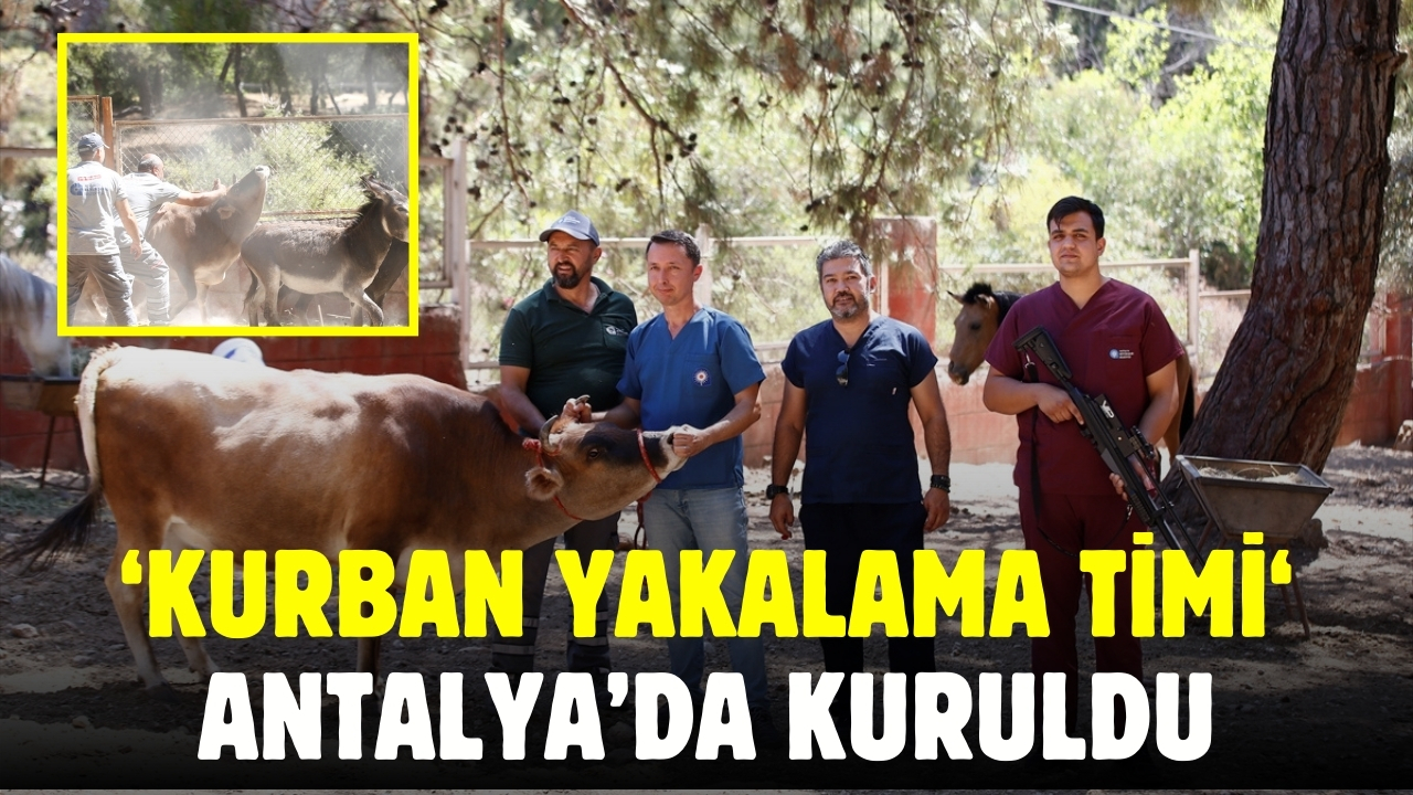 Antalya'da "Kurban Yakalama Timi" kuruldu!