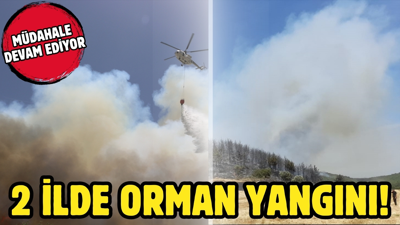 2 ilde orman yangını!