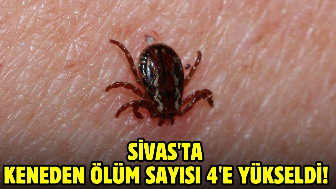 Sivas'ta keneden ölüm sayısı 4'e yükseldi!