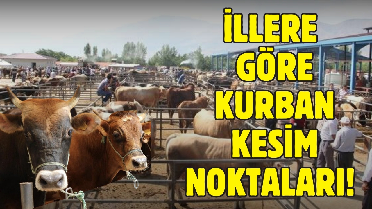 İllere göre kurban kesim noktaları!