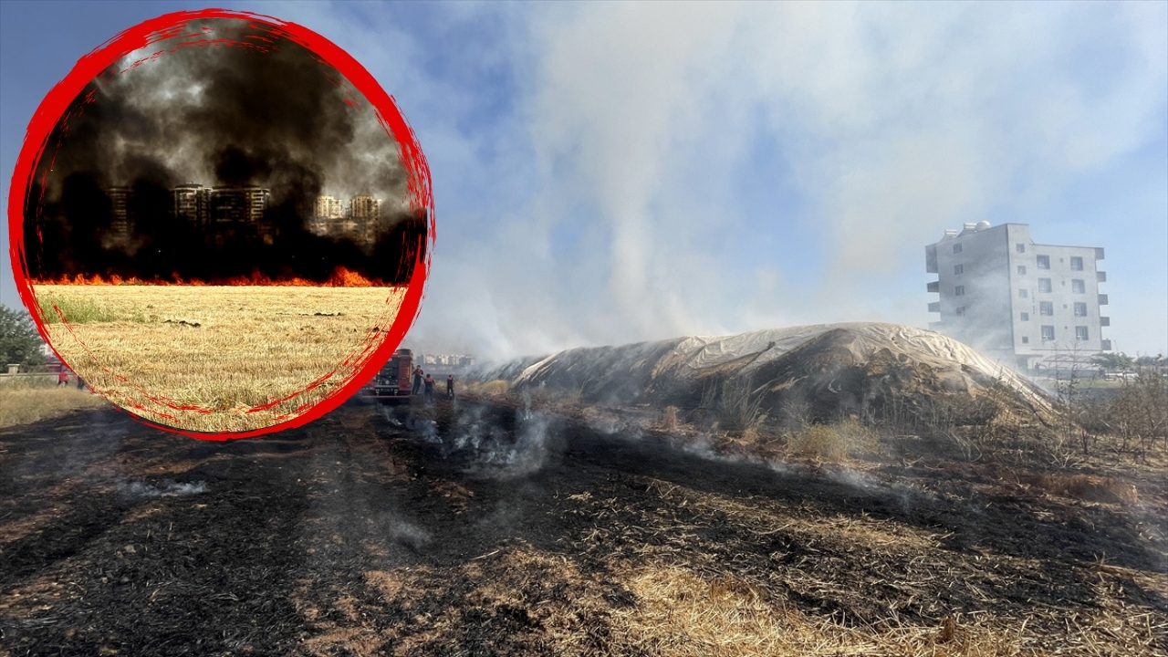 Şanlıurfa'da çıkan anız yangınında yaklaşık 200 ton saman yandı