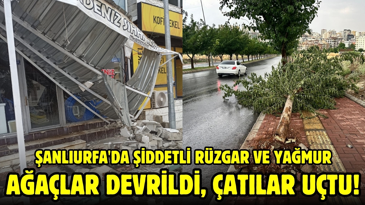 Şanlıurfa'da şiddetli rüzgar ve yağmur
