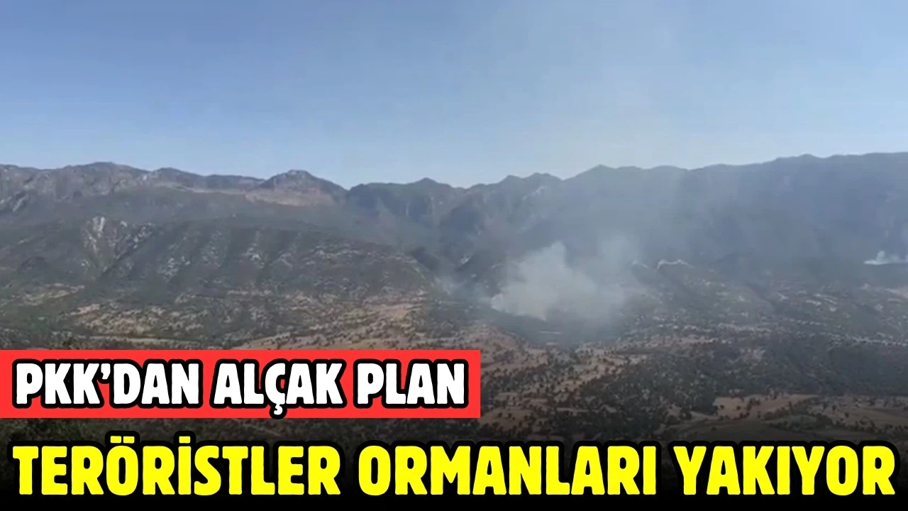 MSB: "Teröristler ormanları yakıyor"