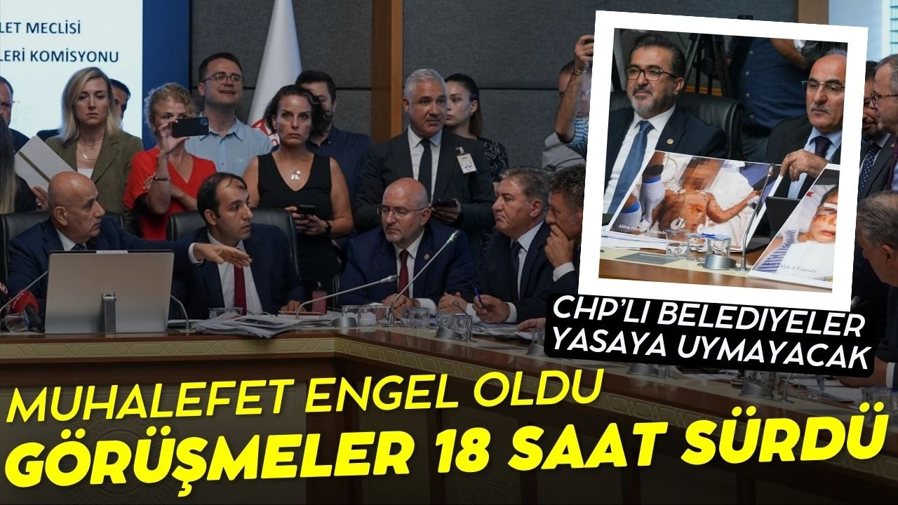 Sokak hayvanları düzenlemesinin komisyon görüşmeleri 18 saat sürdü!