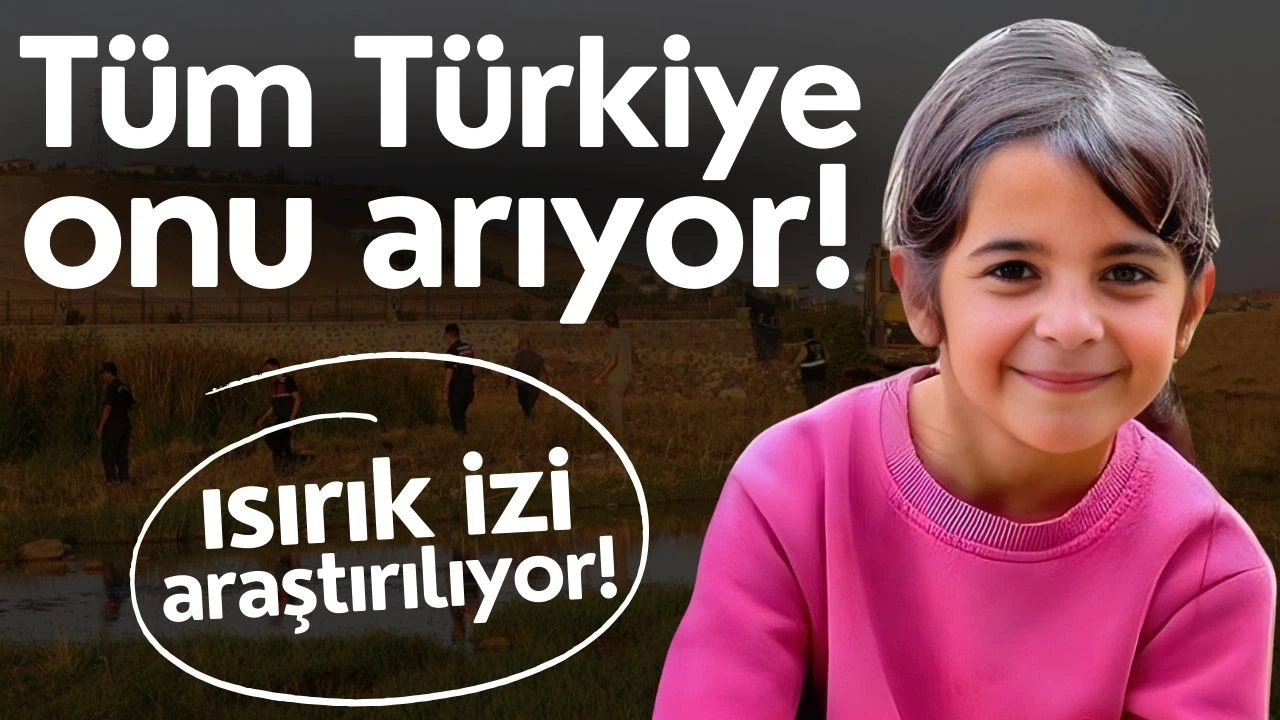 Narin'in, gözaltına alınan ağabeyi İstanbul'a getirildi!