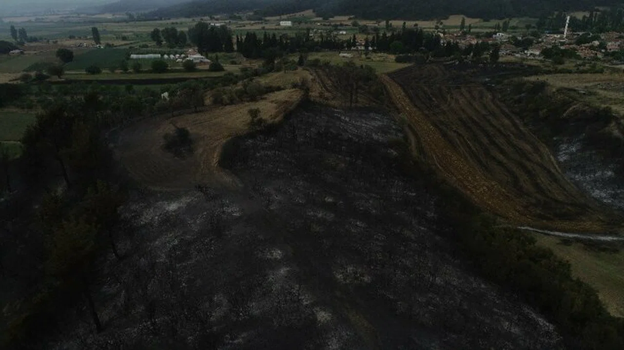 Gelibolu'da korkunç manzara!