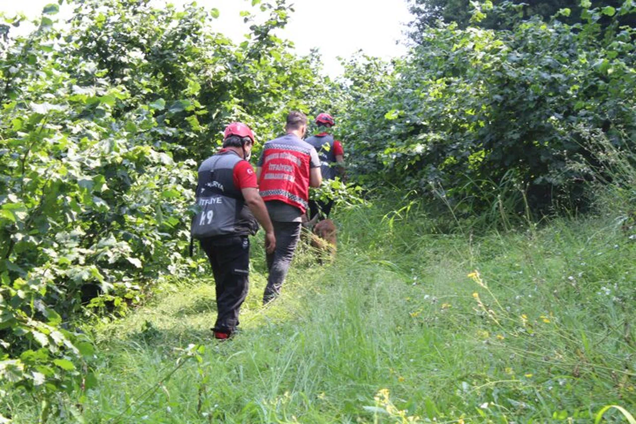 Sakarya'daki patlamanın ardından kayıplar aranıyor!