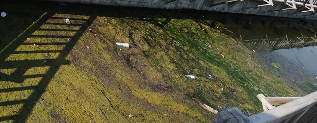 Turizm cennetinde pes dedirten görüntü!