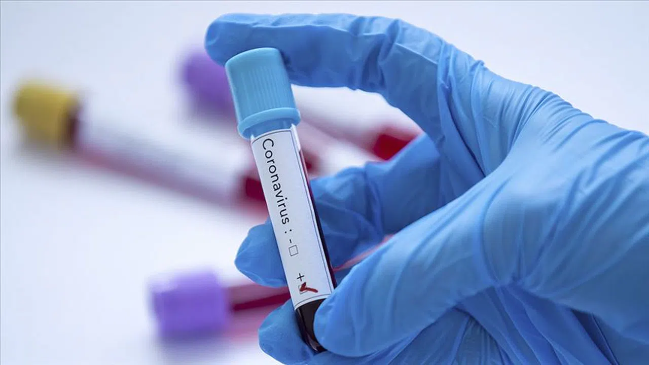 Erkekler kadınlardan daha fazla antikor üretiyor