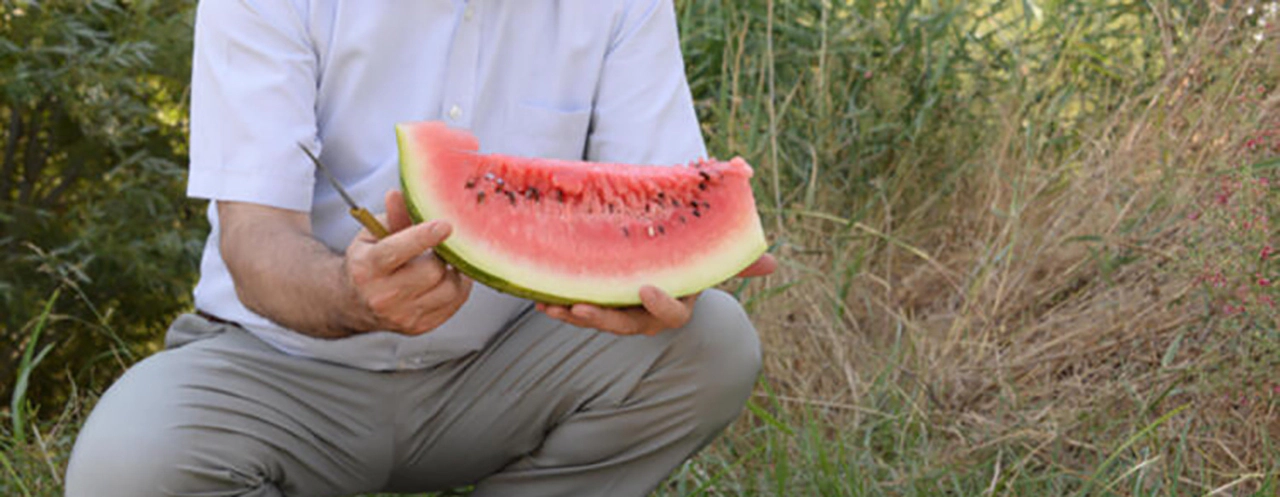 Deveyle taşınıp kılıçla kesiliyor