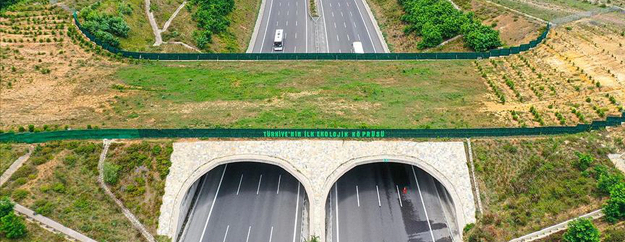 Göz kamaştıran ekolojik köprüler!