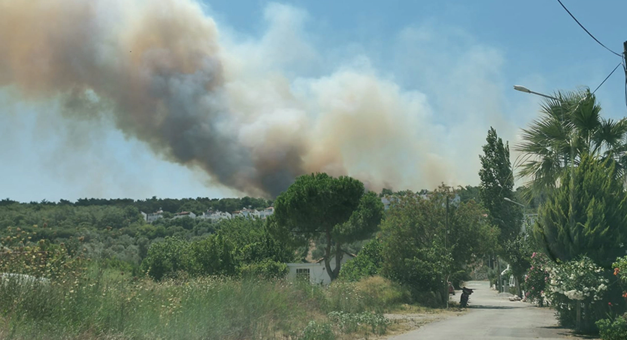 İzmir'de orman yangını