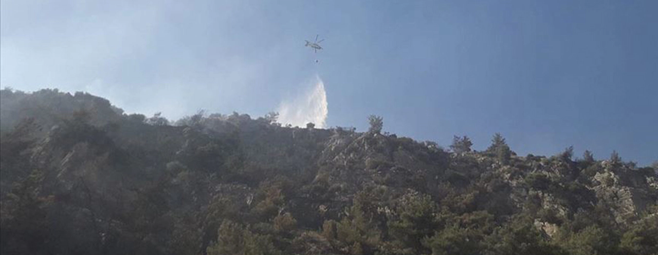 Aydın'da ormanlık alanda yangın