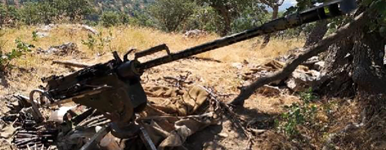 Mehmetçik inlerine girip imha etti