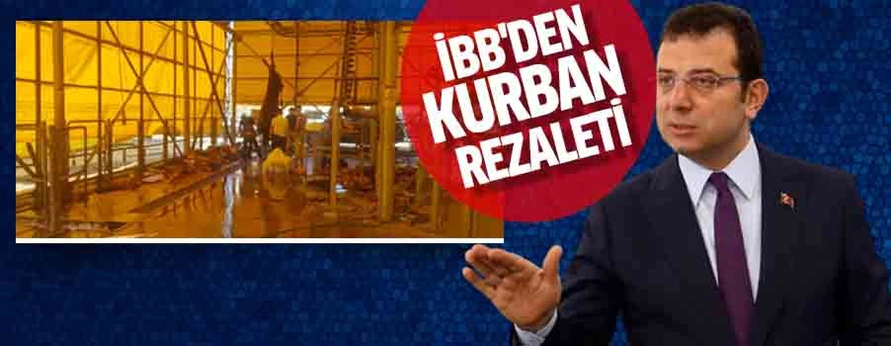 Kasaplar kaçtı, hayvanlar askıda kaldı!