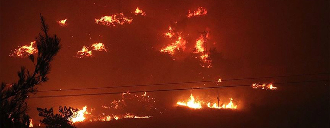 İzmir'de yangın bir siteyi yuttu!
