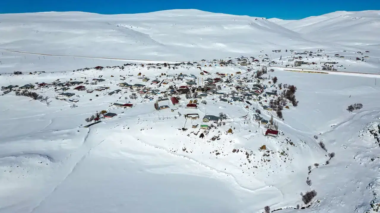 Erzurum Karayazı'da yoğun kar yağışı hayvancılığı olumsuz etkiliyor