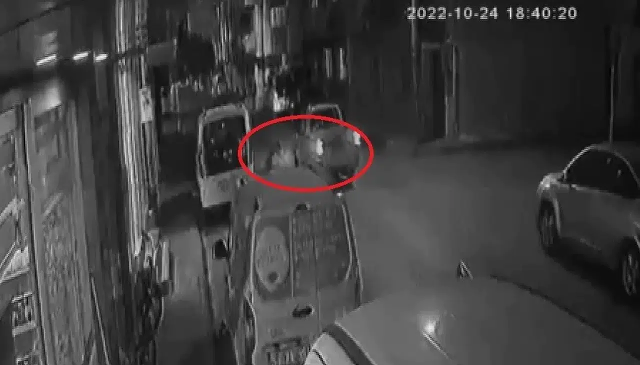 Sahipsiz köpek saldırısı davasında rekor tazminat