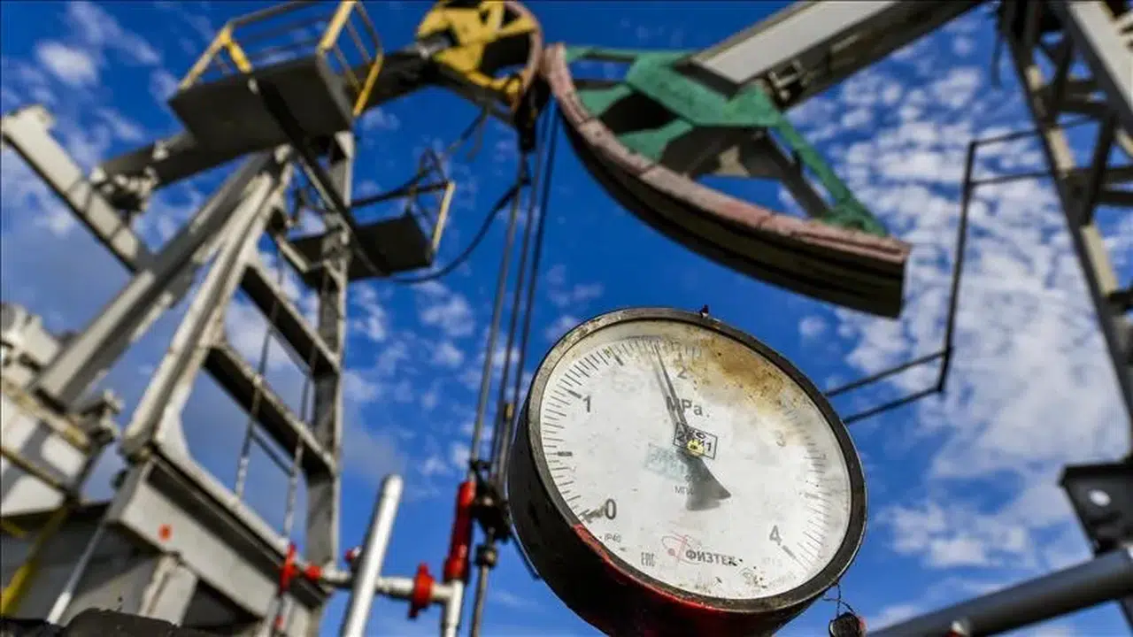 Türkiye’den petrol stoklarını piyasaya sunma kararı