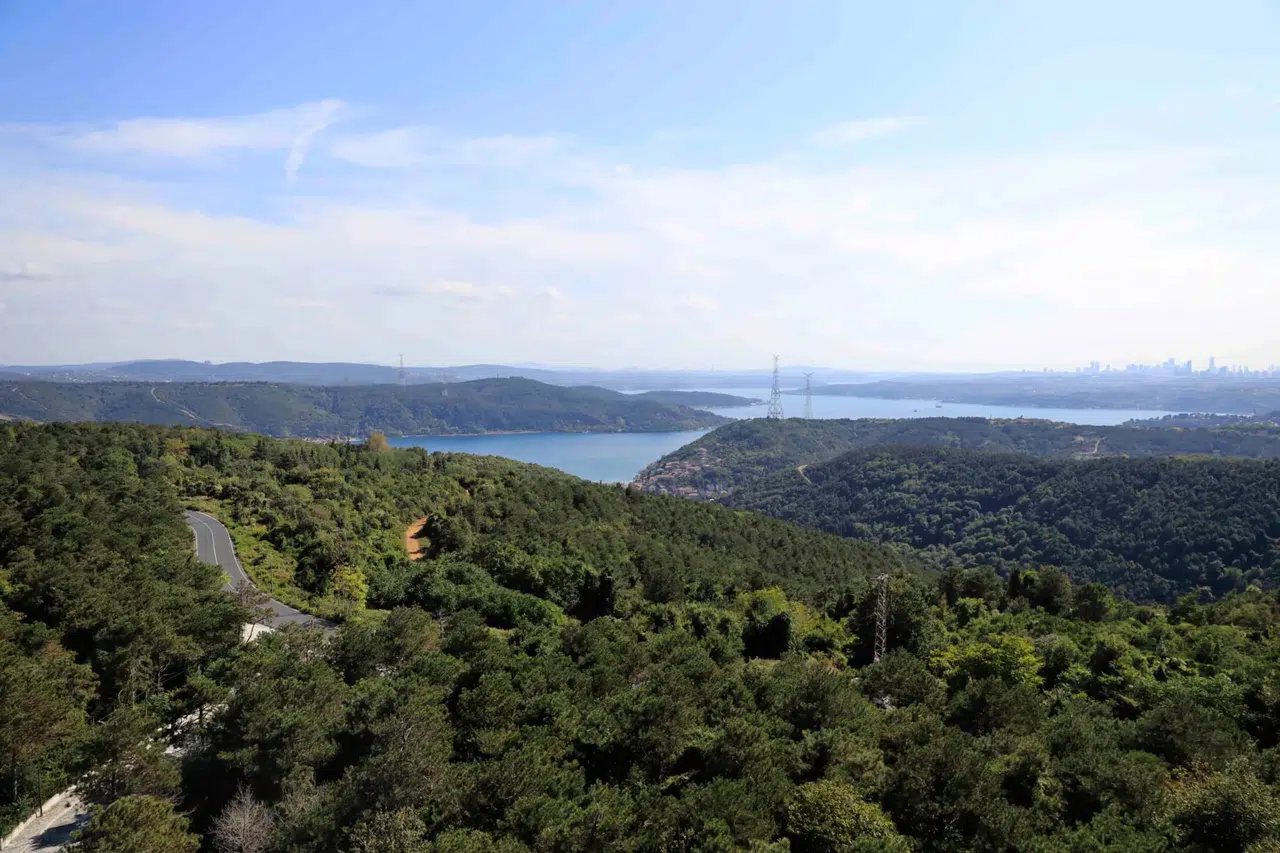 Valilik duyurdu: İstanbul’da ormanlık alanlara giriş 15 Ekim’e kadar yasaklandı