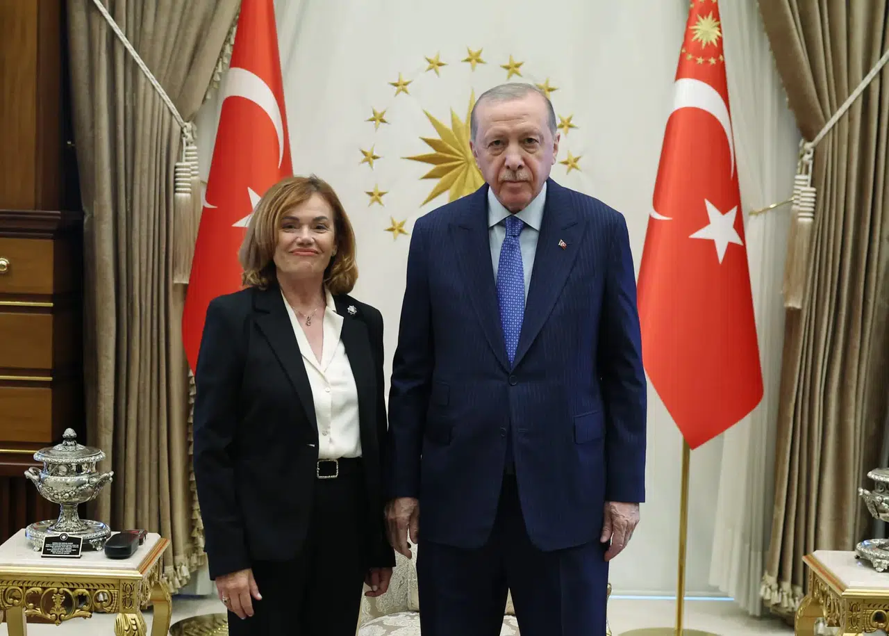Cumhurbaşkanı Erdoğan, İspanya Anayasa Mahkemesi Başkanvekili Huertas ile görüştü