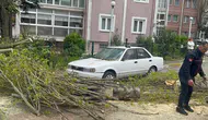 Beylikdüzü’nde 10 metrelik ağaç otomobilin üzerine devrildi