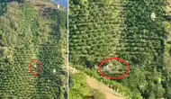 Giresun’da feci kaza: Otomobil yüzlerce metrelik yamaçtan yuvarlandı