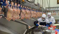 Beyaz et sektöründeki fiyat soruşturmasında 29 şüpheli serbest bırakıldı