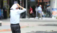 Yaz aylarında sıcaklıklar mevsim normallerinin 1-2 derece üzerine çıkacak