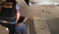 Kırmızı bültenle aranan uyuşturucu şüphelisi Bodrum’da yakalandı