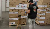 Kapıkule’de 1,15 ton uyuşturucu ele geçirildi
