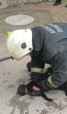 İtfaiye eri dumandan bayılan kediyi kalp masajıyla kurtardı