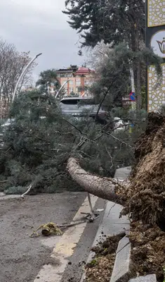 Ankara’da fırtına dehşeti: Devrilen ağaçlar araçların üzerine düştü