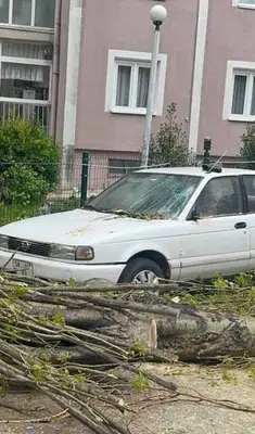 Beylikdüzü’nde 10 metrelik ağaç otomobilin üzerine devrildi