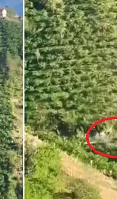 Giresun’da feci kaza: Otomobil yüzlerce metrelik yamaçtan yuvarlandı
