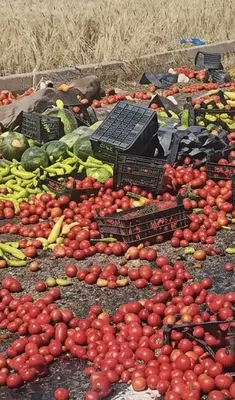 Diyarbakır’da kamyonetin tekeri patladı: Yola saçılan meyve ve sebzeleri jandarma topladı