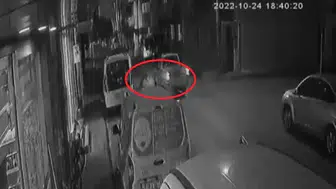 Sahipsiz köpek saldırısı davasında rekor tazminat