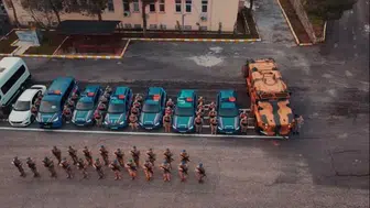 12 ilde dev operasyon: 14 suç örgütü dağıtıldı