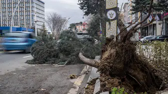 Ankara’da fırtına dehşeti: Devrilen ağaçlar araçların üzerine düştü
