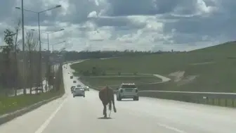 Erzurum’da arefe günü klasiği değişmedi: Firari kurbanlıklar trafiği kilitledi