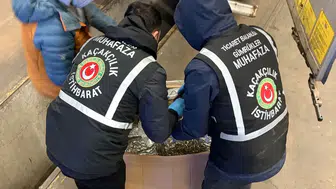 Gümrükler Muhafaza ekiplerinden uyuşturucuya ağır darbe: 108,7 ton madde ele geçirildi