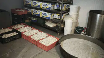 Başkentte 9 ton bozuk süt ve süt ürünü ele geçirildi