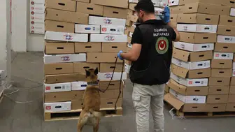 Kapıkule’de 1,15 ton uyuşturucu ele geçirildi