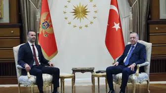 Cumhurbaşkanı Erdoğan, Karadağ Başbakanı Spajic ile görüştü